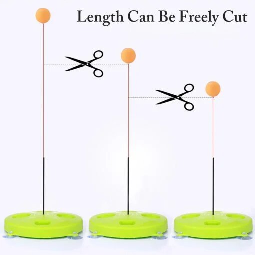 מאמן טניס שולחן – תמונה 4